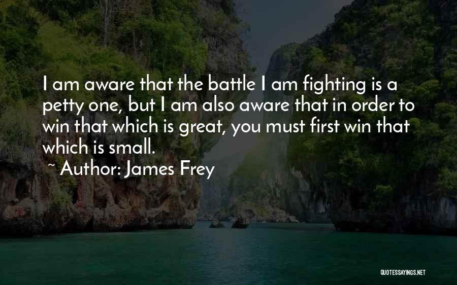 James Frey Quotes: I Am Aware That The Battle I Am Fighting Is A Petty One, But I Am Also Aware That In