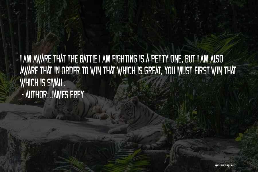 James Frey Quotes: I Am Aware That The Battle I Am Fighting Is A Petty One, But I Am Also Aware That In