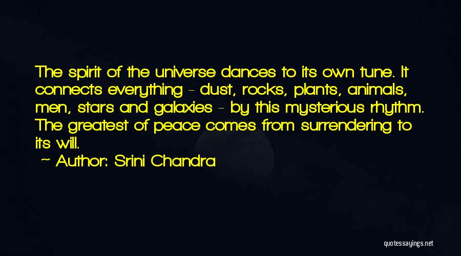 Srini Chandra Quotes: The Spirit Of The Universe Dances To Its Own Tune. It Connects Everything - Dust, Rocks, Plants, Animals, Men, Stars