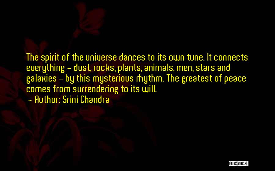 Srini Chandra Quotes: The Spirit Of The Universe Dances To Its Own Tune. It Connects Everything - Dust, Rocks, Plants, Animals, Men, Stars