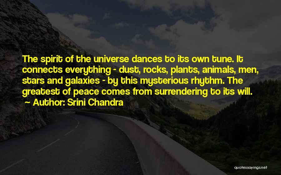 Srini Chandra Quotes: The Spirit Of The Universe Dances To Its Own Tune. It Connects Everything - Dust, Rocks, Plants, Animals, Men, Stars