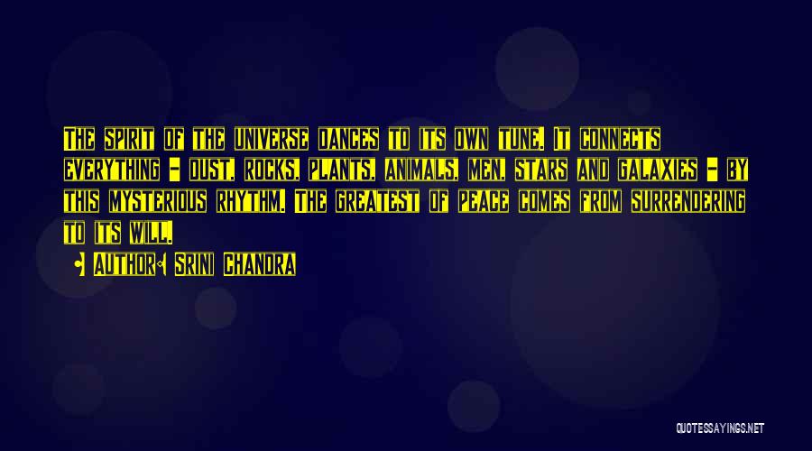 Srini Chandra Quotes: The Spirit Of The Universe Dances To Its Own Tune. It Connects Everything - Dust, Rocks, Plants, Animals, Men, Stars