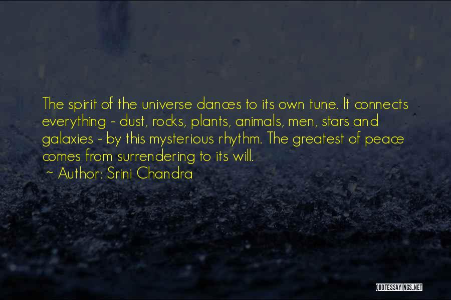 Srini Chandra Quotes: The Spirit Of The Universe Dances To Its Own Tune. It Connects Everything - Dust, Rocks, Plants, Animals, Men, Stars