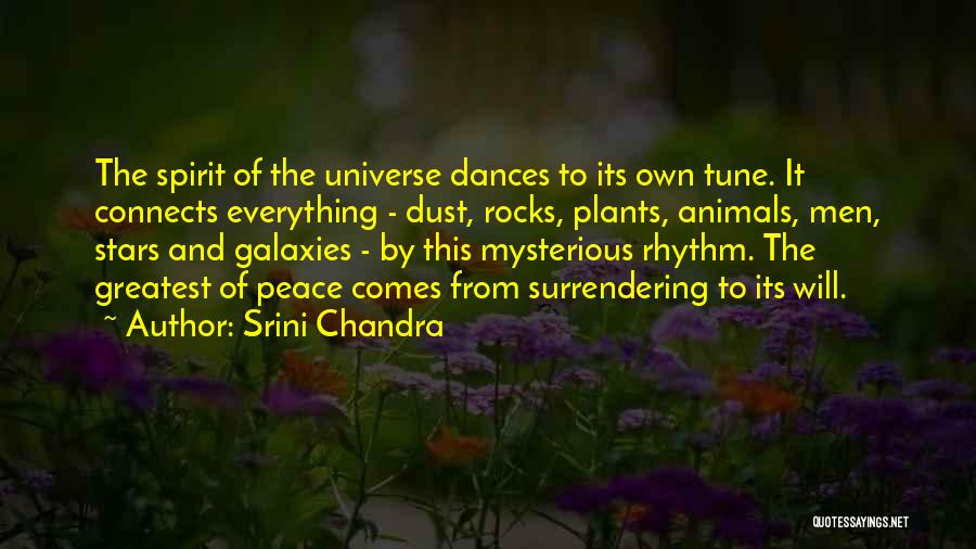 Srini Chandra Quotes: The Spirit Of The Universe Dances To Its Own Tune. It Connects Everything - Dust, Rocks, Plants, Animals, Men, Stars