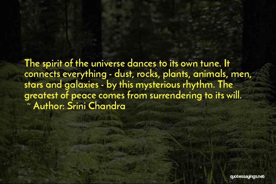 Srini Chandra Quotes: The Spirit Of The Universe Dances To Its Own Tune. It Connects Everything - Dust, Rocks, Plants, Animals, Men, Stars