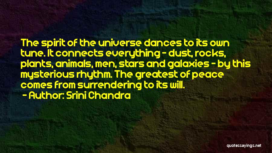 Srini Chandra Quotes: The Spirit Of The Universe Dances To Its Own Tune. It Connects Everything - Dust, Rocks, Plants, Animals, Men, Stars