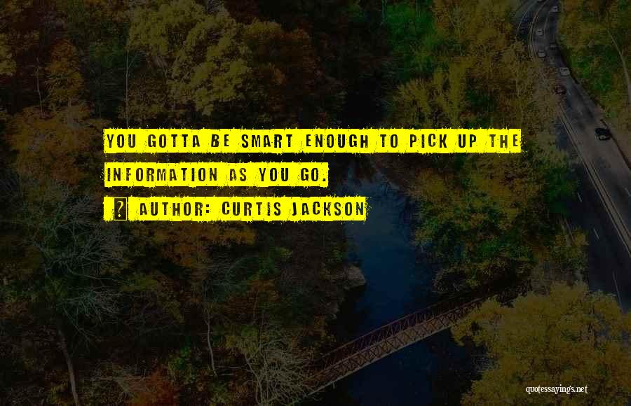 Curtis Jackson Quotes: You Gotta Be Smart Enough To Pick Up The Information As You Go.