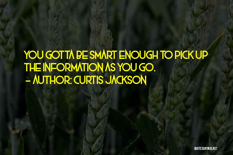 Curtis Jackson Quotes: You Gotta Be Smart Enough To Pick Up The Information As You Go.