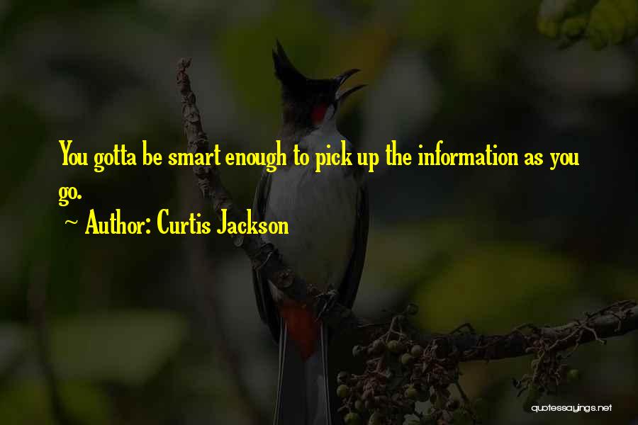 Curtis Jackson Quotes: You Gotta Be Smart Enough To Pick Up The Information As You Go.