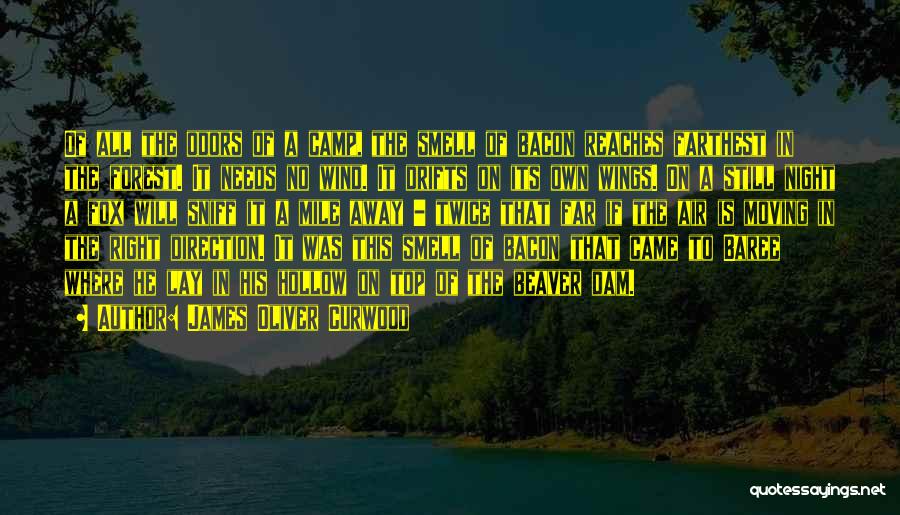 James Oliver Curwood Quotes: Of All The Odors Of A Camp, The Smell Of Bacon Reaches Farthest In The Forest. It Needs No Wind.