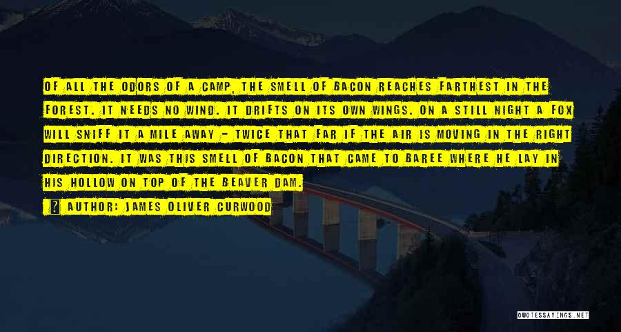 James Oliver Curwood Quotes: Of All The Odors Of A Camp, The Smell Of Bacon Reaches Farthest In The Forest. It Needs No Wind.