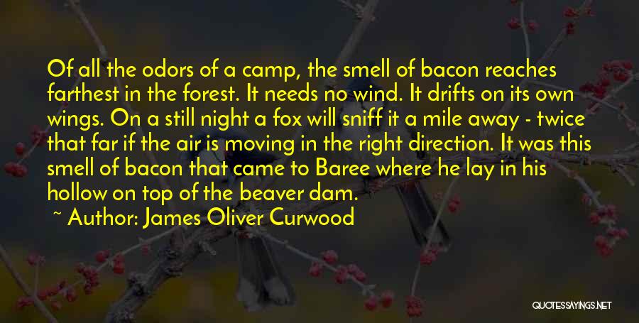 James Oliver Curwood Quotes: Of All The Odors Of A Camp, The Smell Of Bacon Reaches Farthest In The Forest. It Needs No Wind.