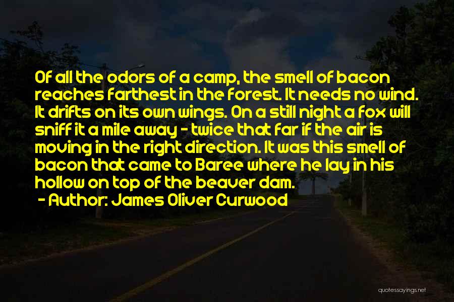 James Oliver Curwood Quotes: Of All The Odors Of A Camp, The Smell Of Bacon Reaches Farthest In The Forest. It Needs No Wind.