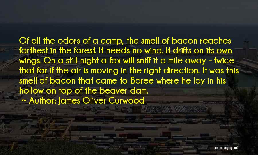 James Oliver Curwood Quotes: Of All The Odors Of A Camp, The Smell Of Bacon Reaches Farthest In The Forest. It Needs No Wind.