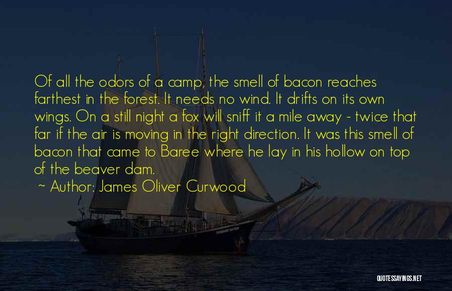 James Oliver Curwood Quotes: Of All The Odors Of A Camp, The Smell Of Bacon Reaches Farthest In The Forest. It Needs No Wind.