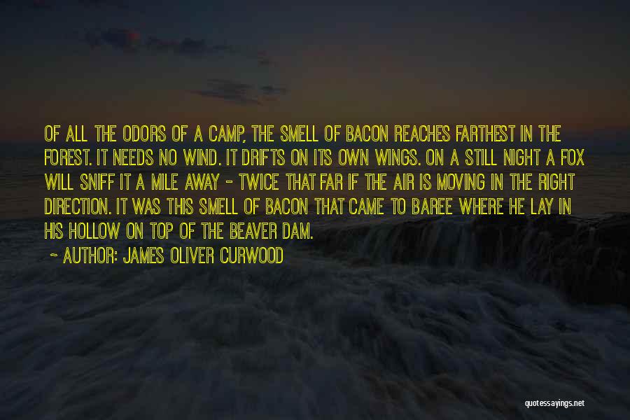 James Oliver Curwood Quotes: Of All The Odors Of A Camp, The Smell Of Bacon Reaches Farthest In The Forest. It Needs No Wind.