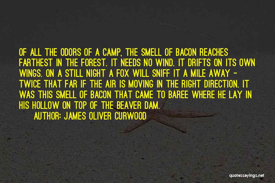 James Oliver Curwood Quotes: Of All The Odors Of A Camp, The Smell Of Bacon Reaches Farthest In The Forest. It Needs No Wind.