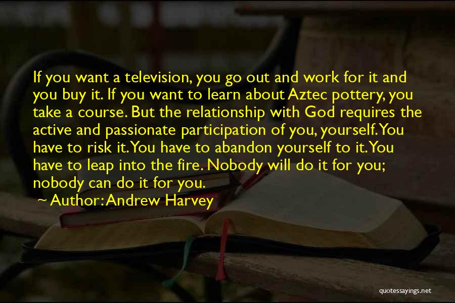 Andrew Harvey Quotes: If You Want A Television, You Go Out And Work For It And You Buy It. If You Want To