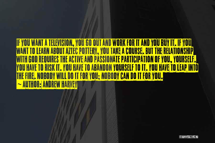 Andrew Harvey Quotes: If You Want A Television, You Go Out And Work For It And You Buy It. If You Want To