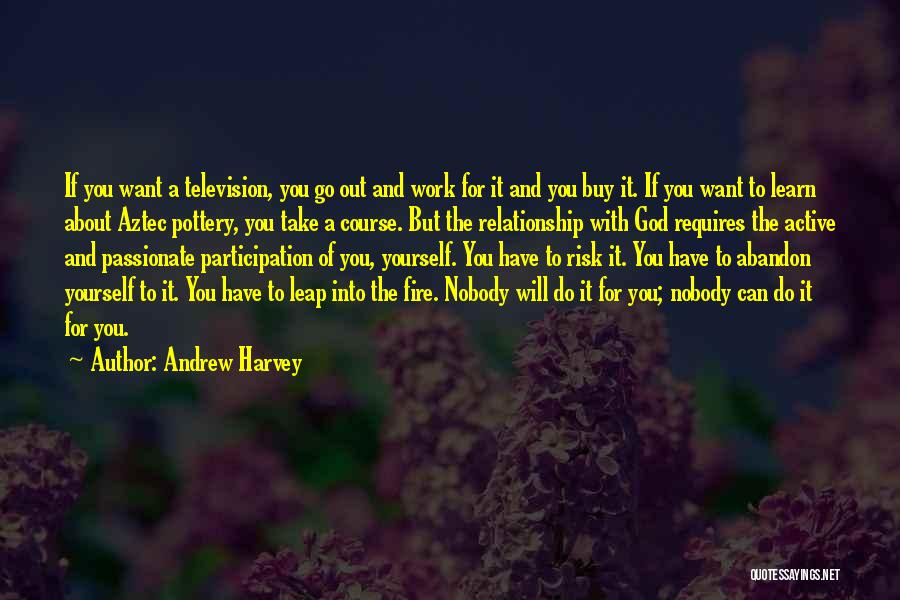 Andrew Harvey Quotes: If You Want A Television, You Go Out And Work For It And You Buy It. If You Want To