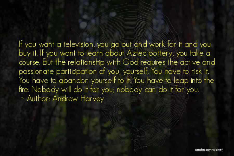 Andrew Harvey Quotes: If You Want A Television, You Go Out And Work For It And You Buy It. If You Want To