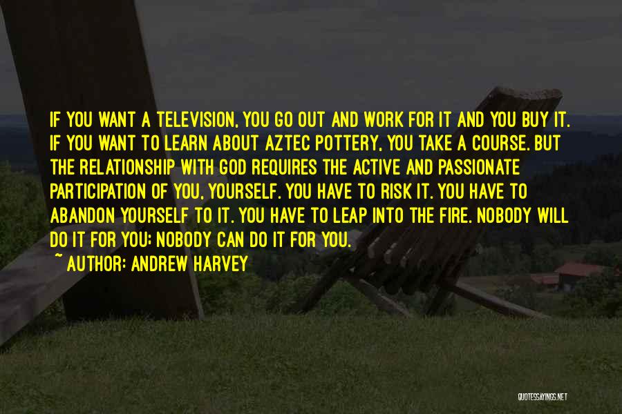 Andrew Harvey Quotes: If You Want A Television, You Go Out And Work For It And You Buy It. If You Want To