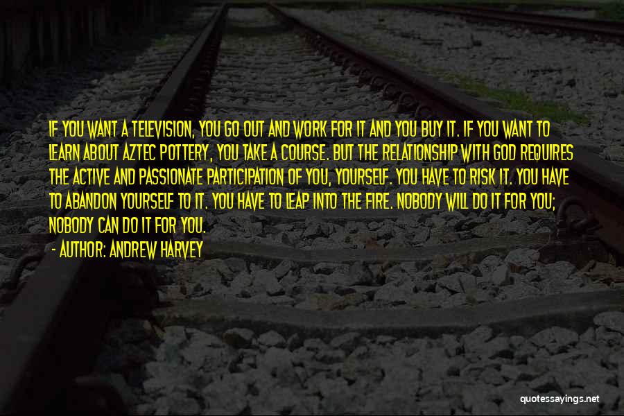 Andrew Harvey Quotes: If You Want A Television, You Go Out And Work For It And You Buy It. If You Want To