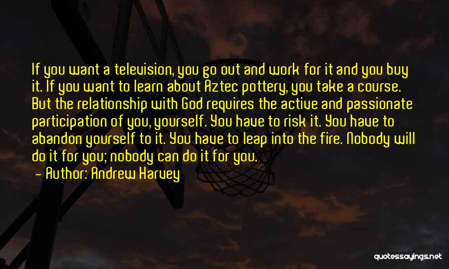 Andrew Harvey Quotes: If You Want A Television, You Go Out And Work For It And You Buy It. If You Want To