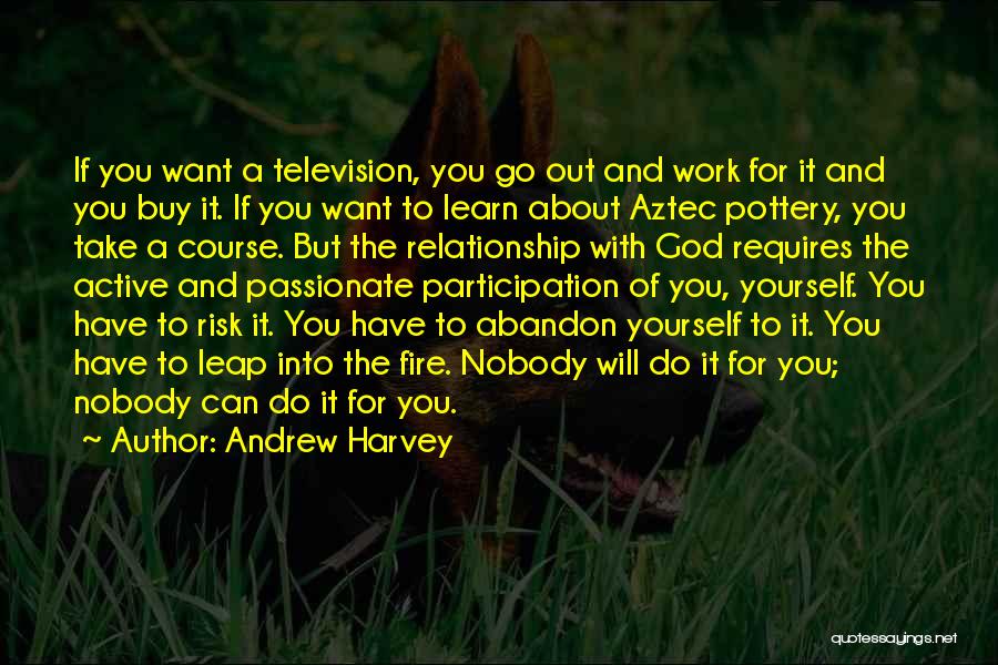 Andrew Harvey Quotes: If You Want A Television, You Go Out And Work For It And You Buy It. If You Want To