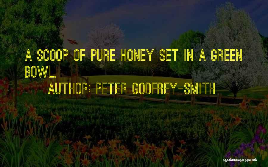 Peter Godfrey-Smith Quotes: A Scoop Of Pure Honey Set In A Green Bowl.