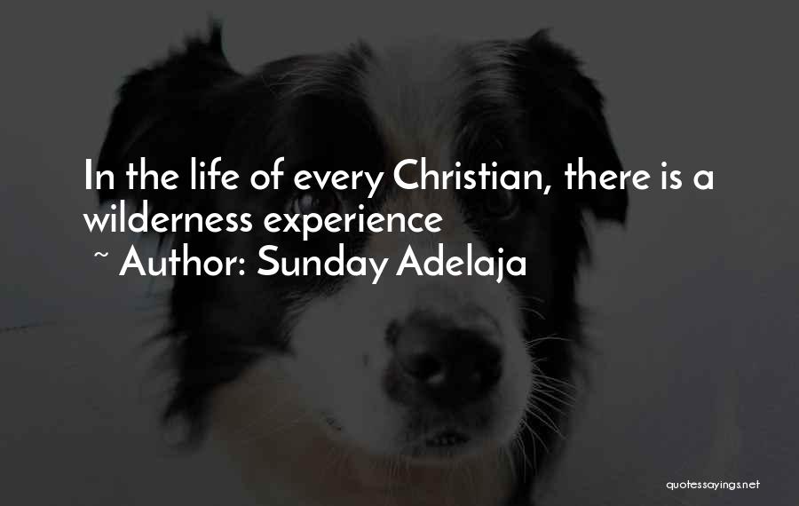 Sunday Adelaja Quotes: In The Life Of Every Christian, There Is A Wilderness Experience