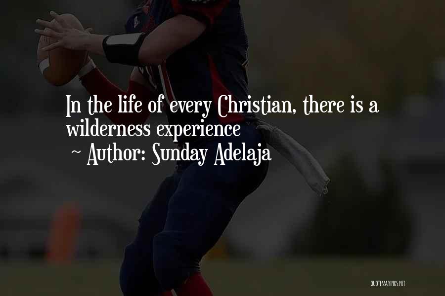 Sunday Adelaja Quotes: In The Life Of Every Christian, There Is A Wilderness Experience