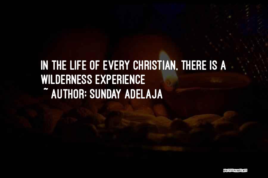 Sunday Adelaja Quotes: In The Life Of Every Christian, There Is A Wilderness Experience