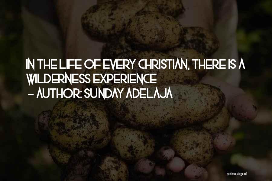 Sunday Adelaja Quotes: In The Life Of Every Christian, There Is A Wilderness Experience