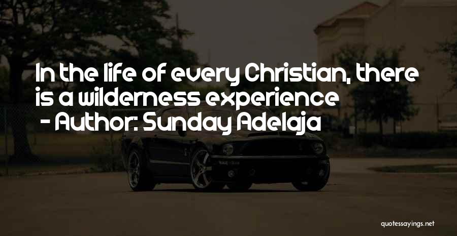 Sunday Adelaja Quotes: In The Life Of Every Christian, There Is A Wilderness Experience