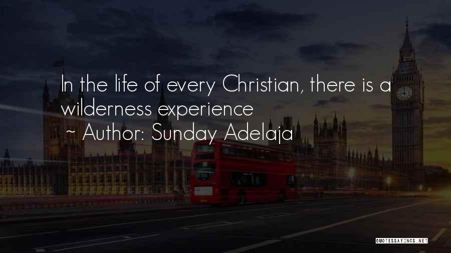 Sunday Adelaja Quotes: In The Life Of Every Christian, There Is A Wilderness Experience