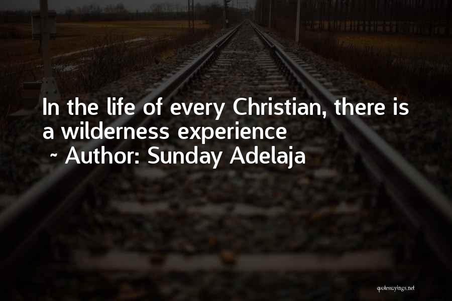 Sunday Adelaja Quotes: In The Life Of Every Christian, There Is A Wilderness Experience