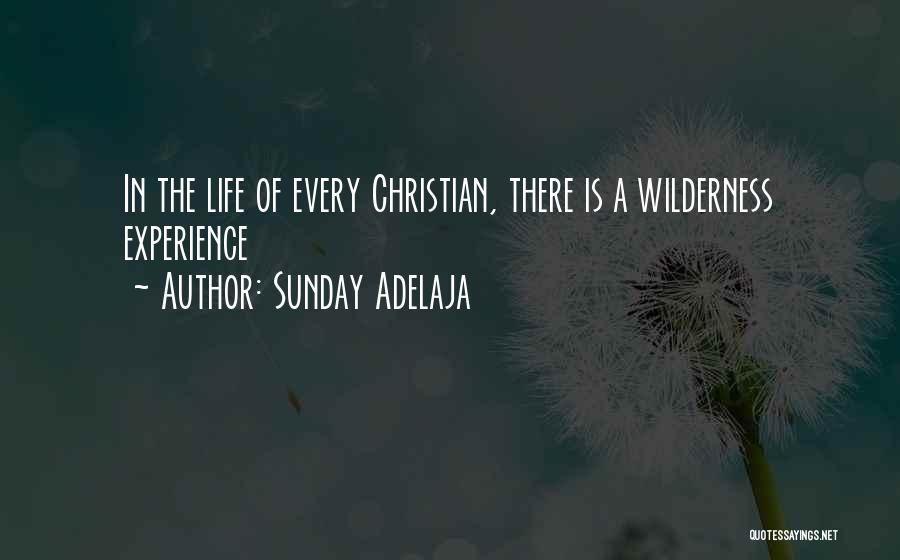 Sunday Adelaja Quotes: In The Life Of Every Christian, There Is A Wilderness Experience