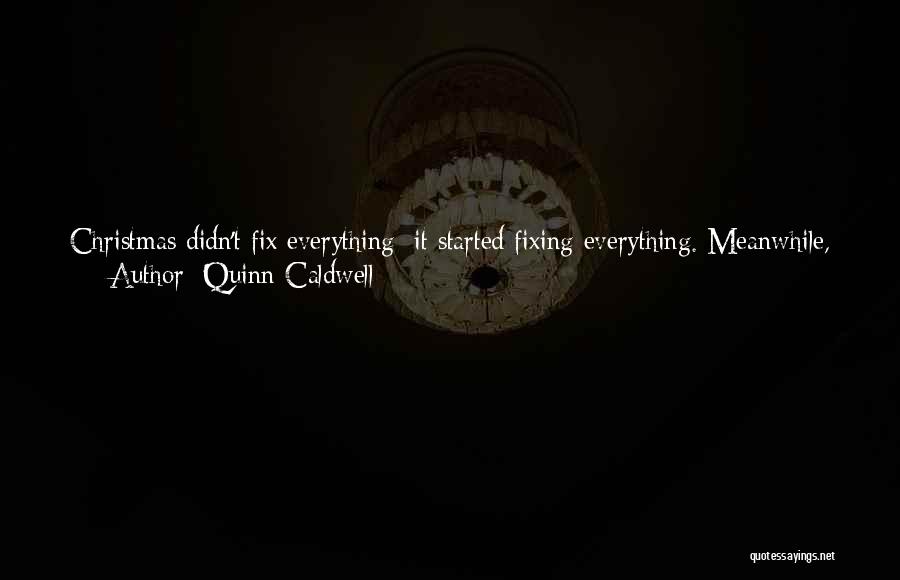 Quinn Caldwell Quotes: Christmas Didn't Fix Everything; It Started Fixing Everything. Meanwhile, We Continue To Wait, With All The Biggest Items On Our