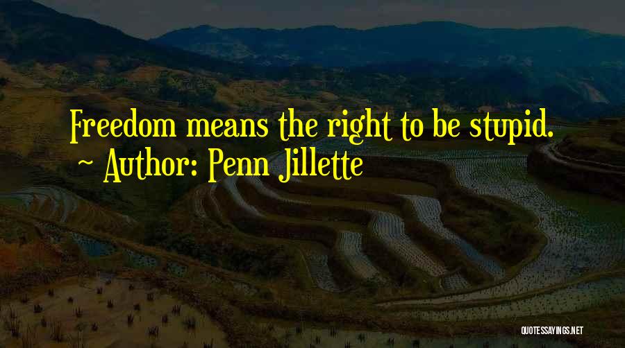Penn Jillette Quotes: Freedom Means The Right To Be Stupid.