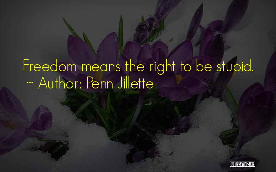 Penn Jillette Quotes: Freedom Means The Right To Be Stupid.