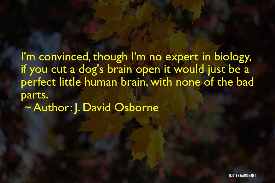 J. David Osborne Quotes: I'm Convinced, Though I'm No Expert In Biology, If You Cut A Dog's Brain Open It Would Just Be A