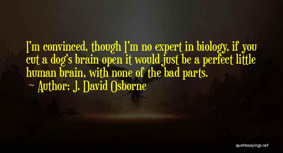 J. David Osborne Quotes: I'm Convinced, Though I'm No Expert In Biology, If You Cut A Dog's Brain Open It Would Just Be A