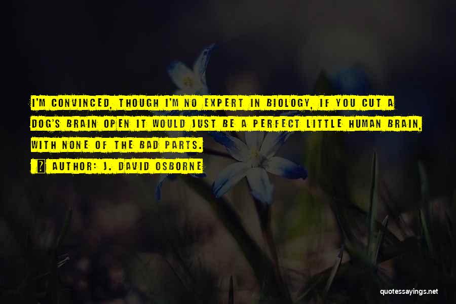 J. David Osborne Quotes: I'm Convinced, Though I'm No Expert In Biology, If You Cut A Dog's Brain Open It Would Just Be A