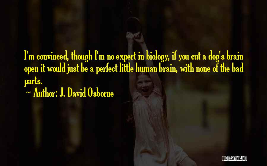 J. David Osborne Quotes: I'm Convinced, Though I'm No Expert In Biology, If You Cut A Dog's Brain Open It Would Just Be A