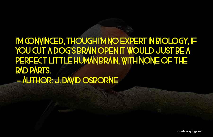 J. David Osborne Quotes: I'm Convinced, Though I'm No Expert In Biology, If You Cut A Dog's Brain Open It Would Just Be A