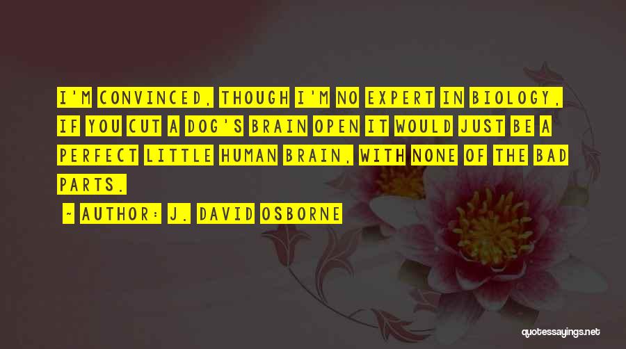 J. David Osborne Quotes: I'm Convinced, Though I'm No Expert In Biology, If You Cut A Dog's Brain Open It Would Just Be A