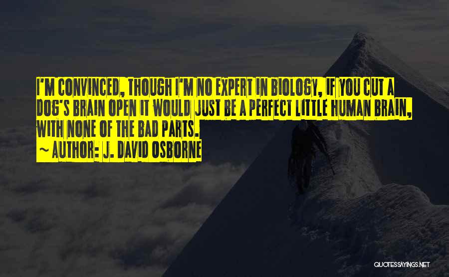 J. David Osborne Quotes: I'm Convinced, Though I'm No Expert In Biology, If You Cut A Dog's Brain Open It Would Just Be A