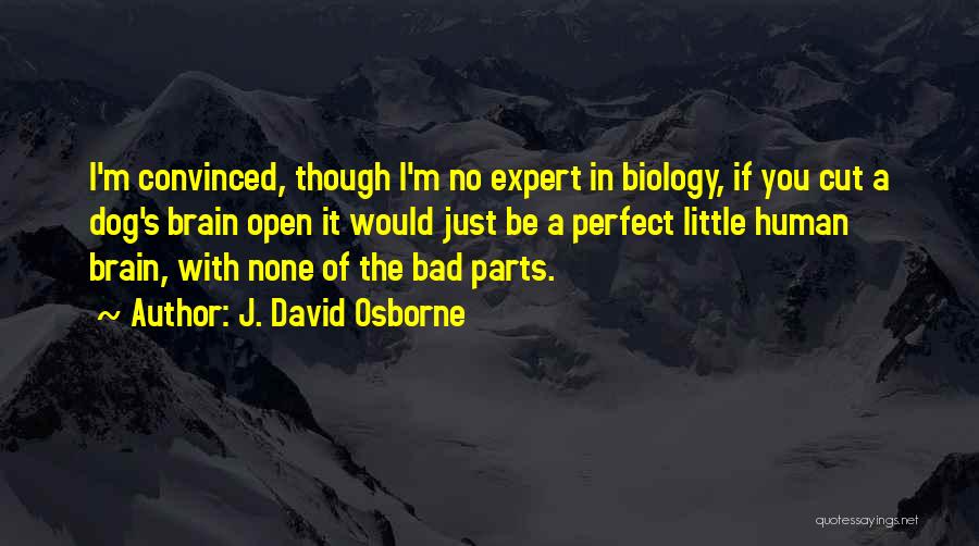 J. David Osborne Quotes: I'm Convinced, Though I'm No Expert In Biology, If You Cut A Dog's Brain Open It Would Just Be A