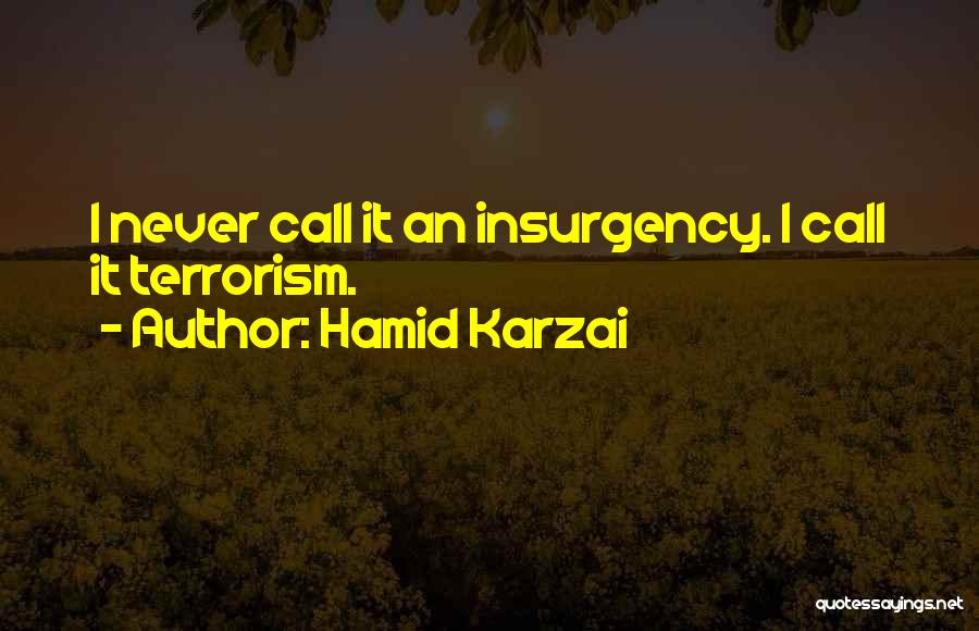 Hamid Karzai Quotes: I Never Call It An Insurgency. I Call It Terrorism.